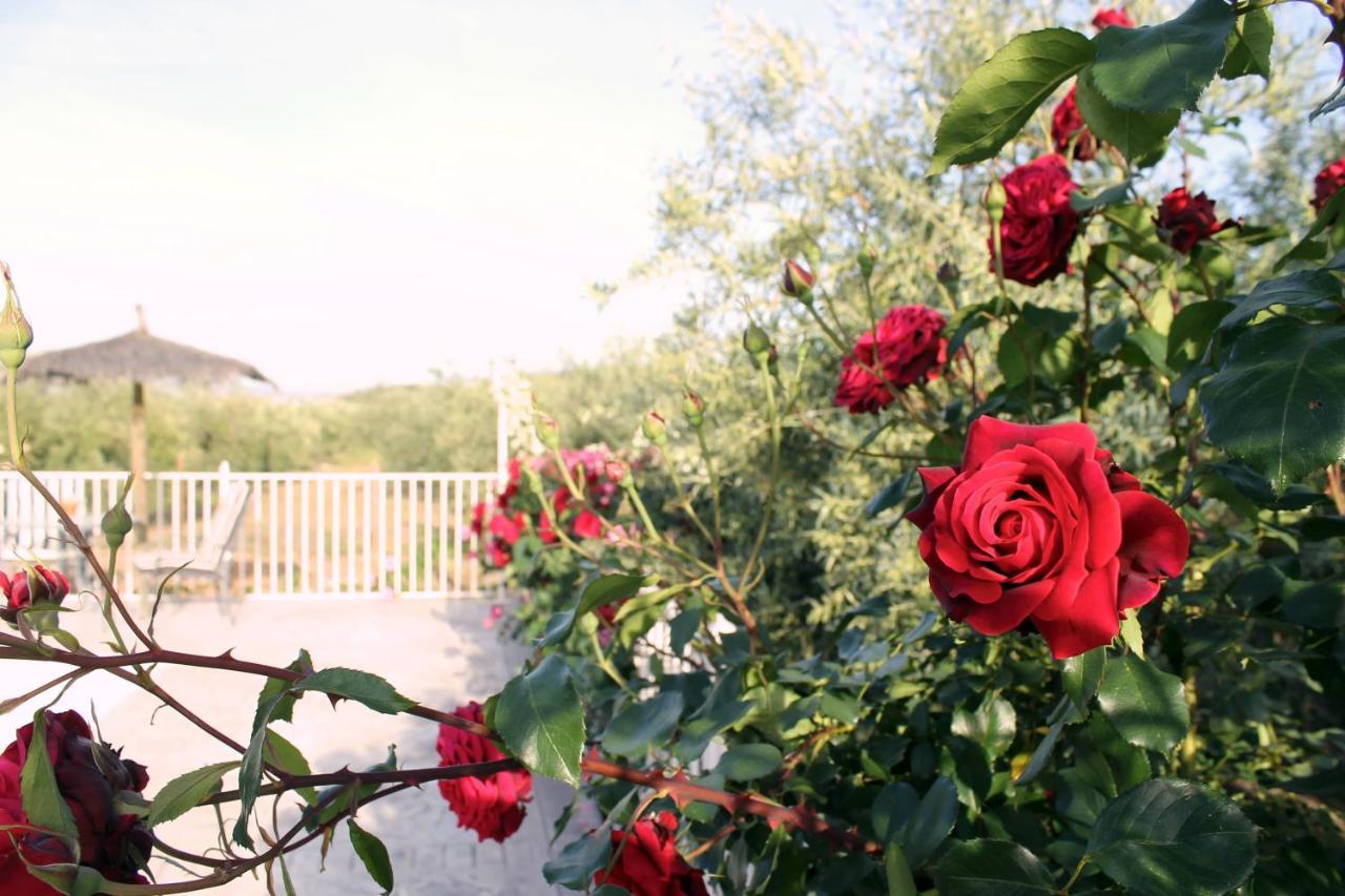 Casa De La Noria Villa Carcabuey Екстериор снимка