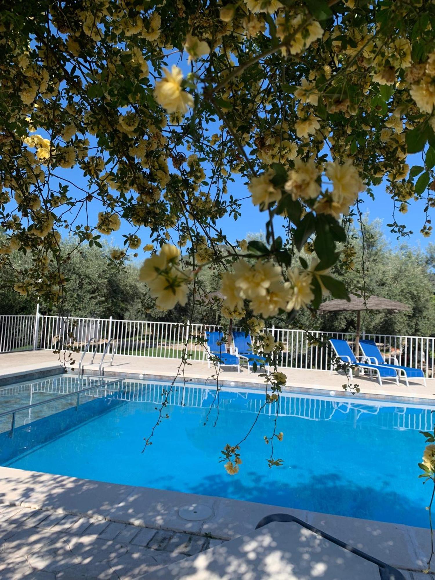 Casa De La Noria Villa Carcabuey Екстериор снимка